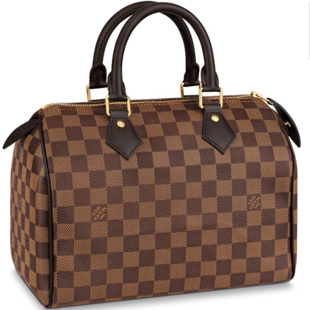 Louis Vuitton Speedy 25 bag